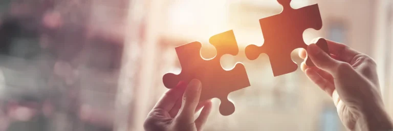 header-Puzzle_2560 x 854 px Kopie